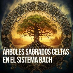 Taller: Desarrollo...