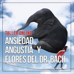 Ansiedad, angustia y Flores del Dr. Bach