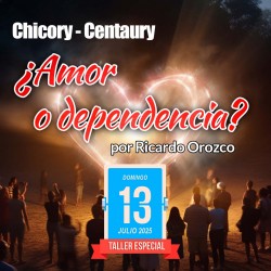 Taller online. CHI-CEN...